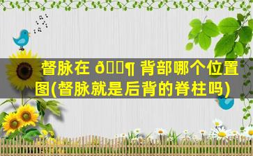 督脉在 🐶 背部哪个位置图(督脉就是后背的脊柱吗)